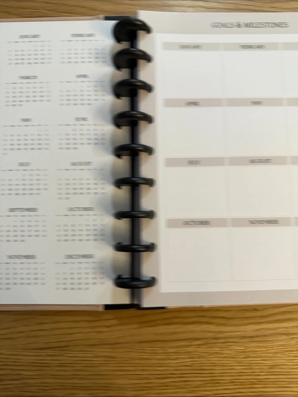 2026 Rose Gold Disc-Bound Planner with Elastic Closure